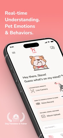 Traini uses a live mobile entry point to turn pet behavior into an AI-assisted training moment